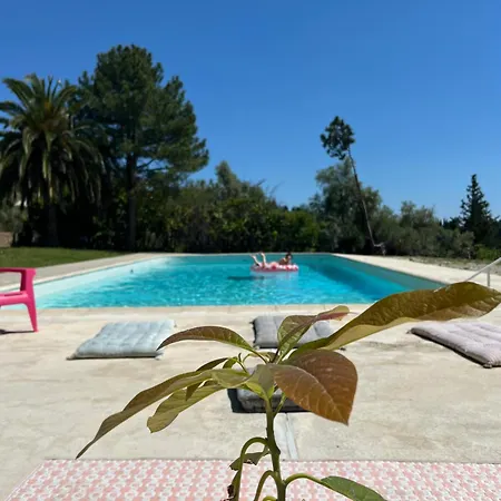3 Pieces Au Dernier Etage Dans Bastide Grassoise Appartement Grasse Buitenkant foto