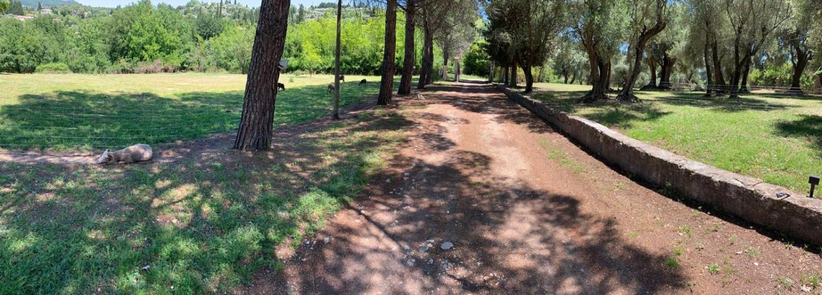 Appartement 3 Pieces Au Dernier Etage Dans Bastide Grassoise