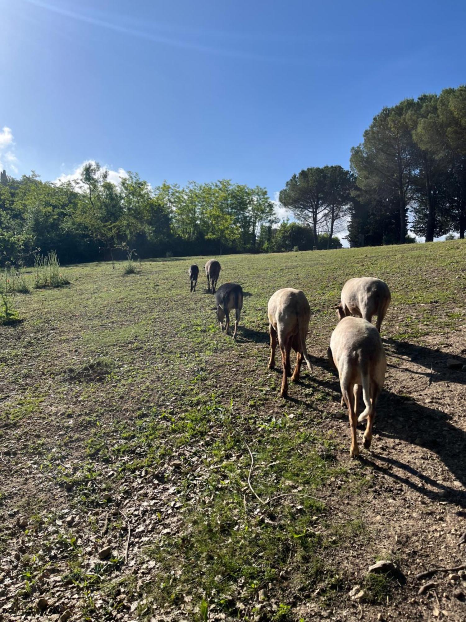 Apartment 3 Pieces Au Dernier Etage Dans Bastide Grassoise